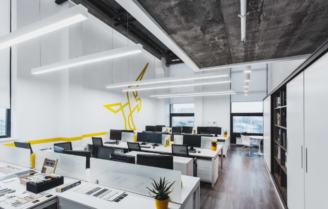 上海办公室装修如何选择合适的盆栽