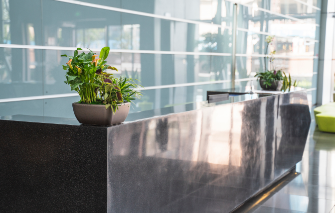 上海办公室装修前台如何摆放绿植