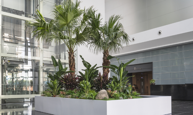 写字楼装修如何设计大厅绿植