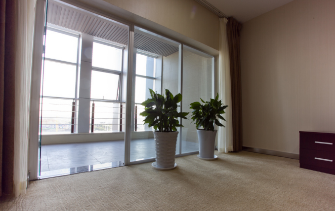 上海办公室装修设计阳台绿植选择指南 上海办公室装修设计阳台绿植选择指南