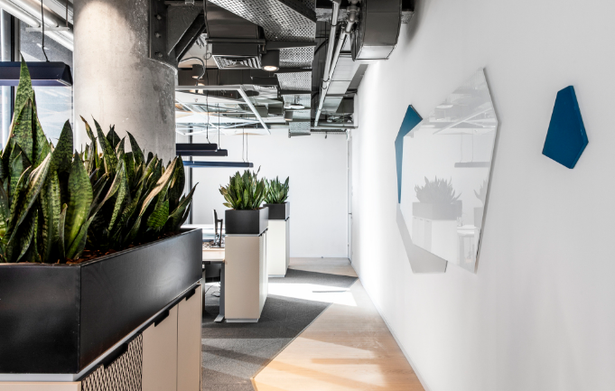 上海办公室装修设计选择吊兰的好处