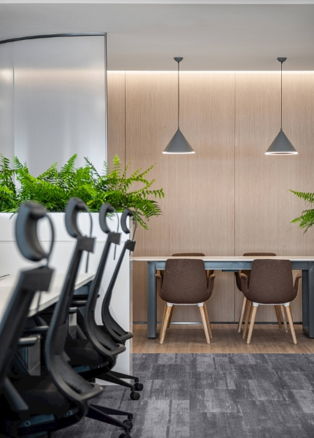 揭秘上海办公室装修设计中摆放植物的神奇好处